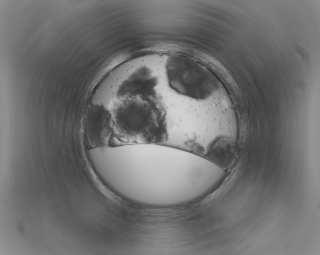 X0000115831425200911131118
