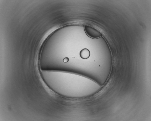 X0000115831426200911131118