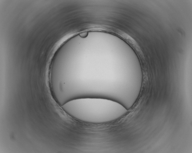 X0000115831427200911131118