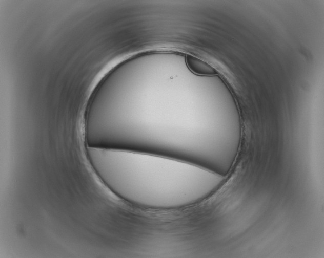 X0000115831428200911131118