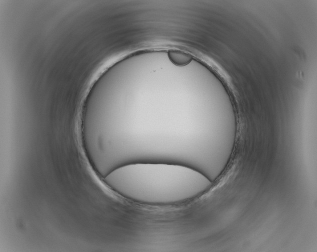 X0000115831429200911131118