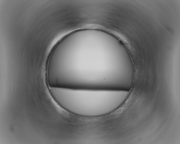 X0000115831430200911131118
