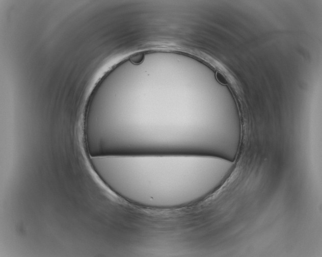 X0000115831432200911131118