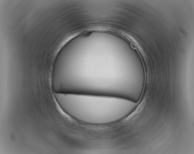 X0000115831433200911131118