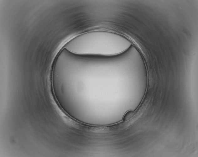 X0000115831434200911131118