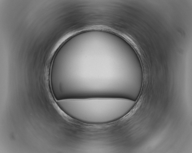 X0000115831438200911131118