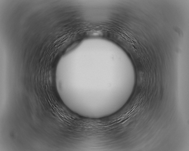 X0000115831442200911131117