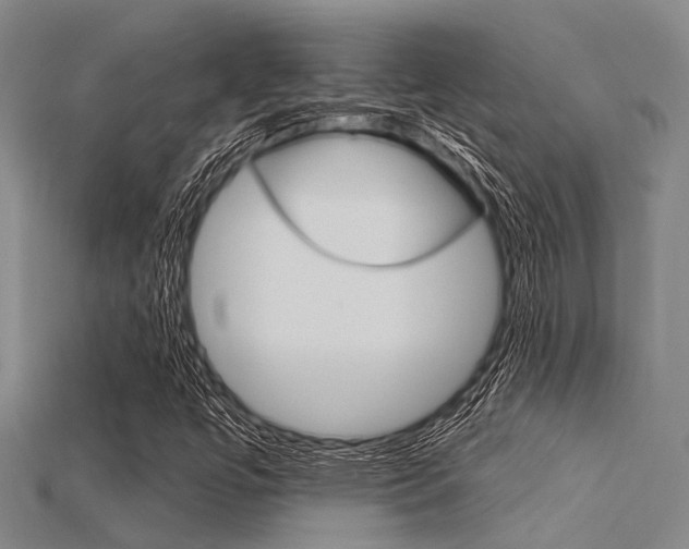 X0000115831447200911131117