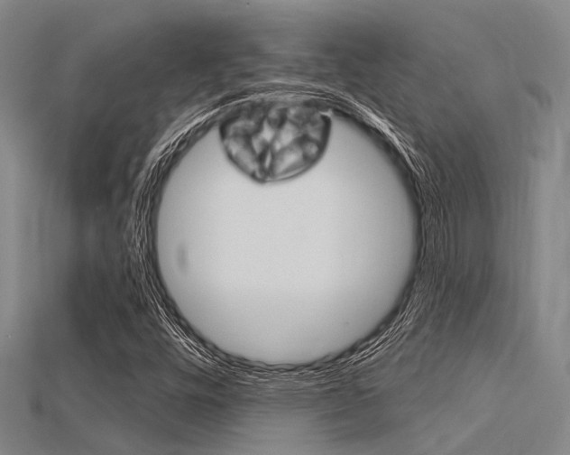 X0000115831448200911131117