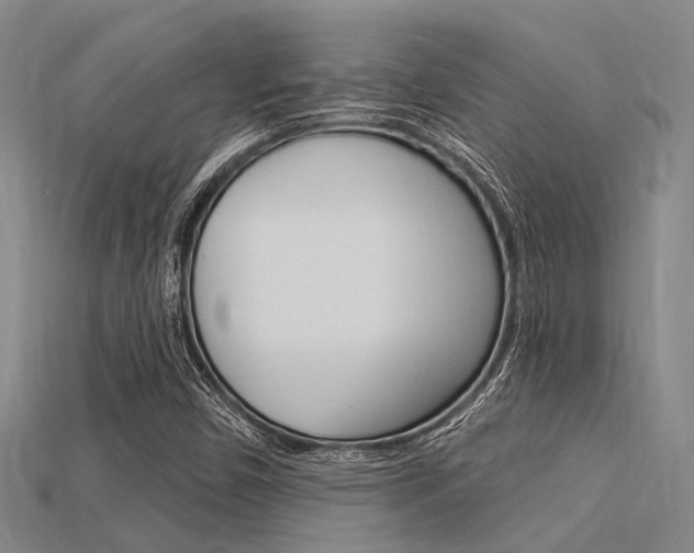 X0000115831450200911131117