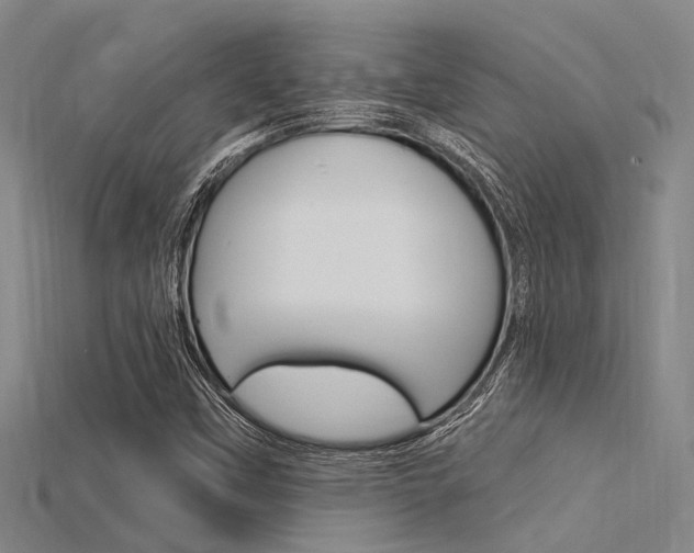 X0000115831451200911131117