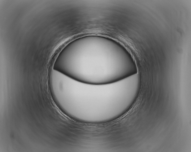 X0000115831452200911131117