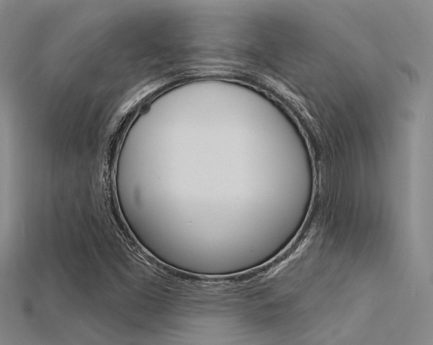 X0000115831453200911131117