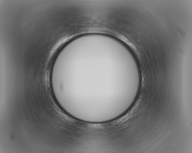 X0000115831454200911131117