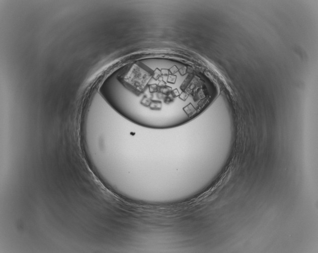 X0000115831456200911131117