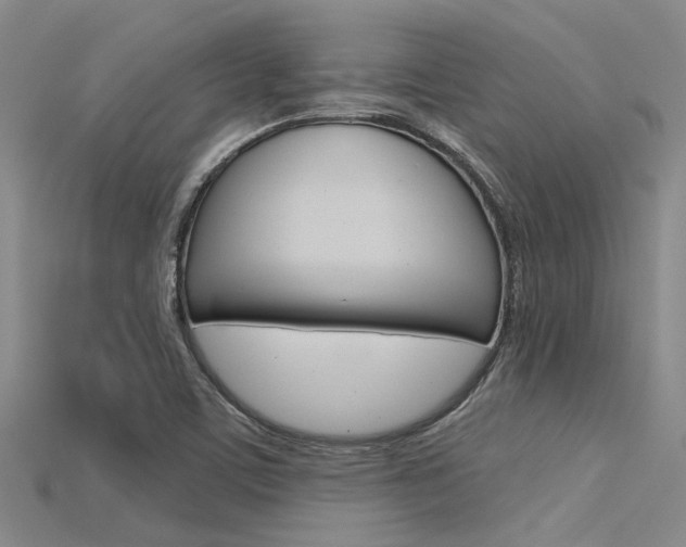 X0000115831459200911131117