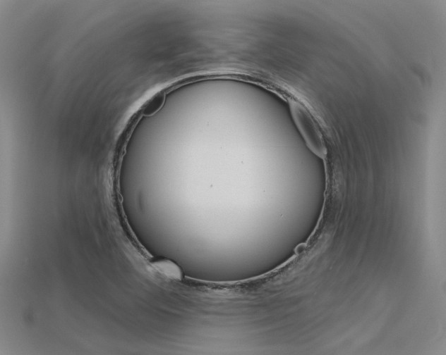 X0000115831460200911131117