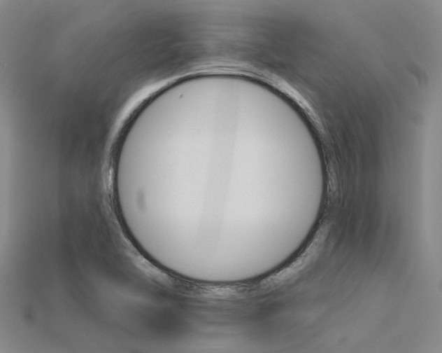 X0000115831462200911131117