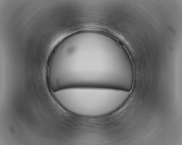 X0000115831463200911131117