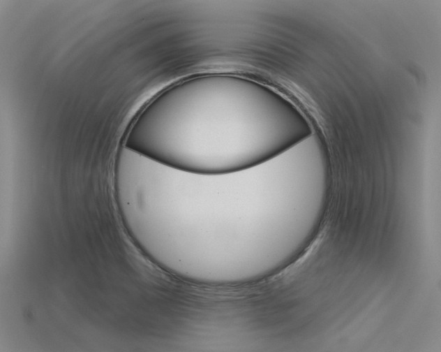 X0000115831465200911131117