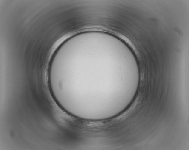 X0000115831466200911131117