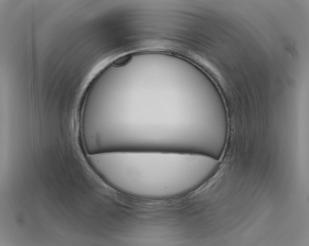 X0000115831467200911131117
