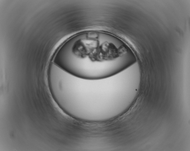X0000115831468200911131117