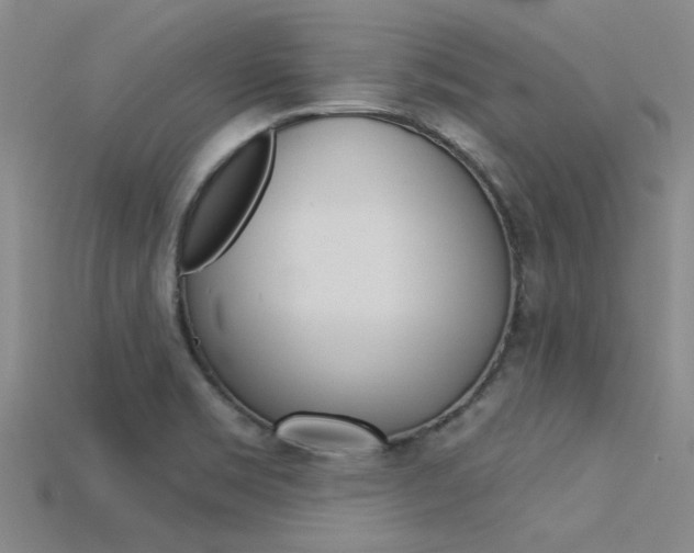 X0000115831469200911131117