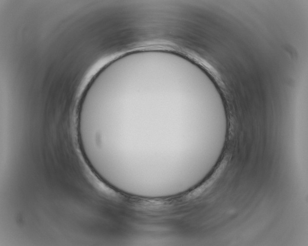 X0000115831470200911131117