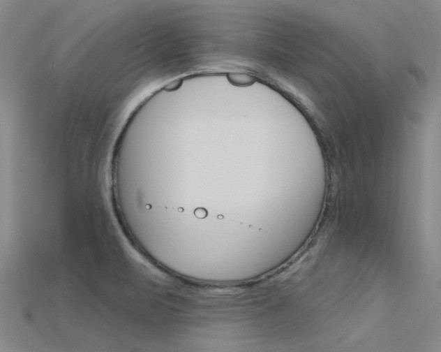 X0000115831471200911131117