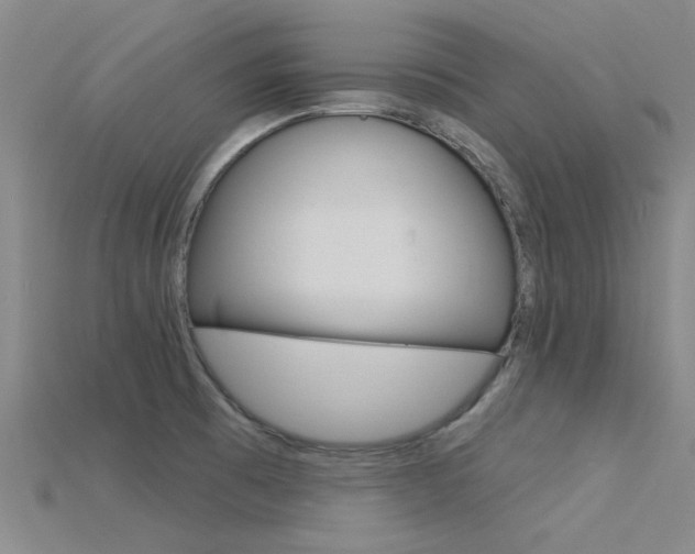 X0000115831473200911131117