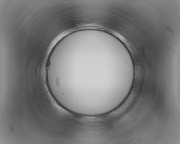 X0000115831474200911131117