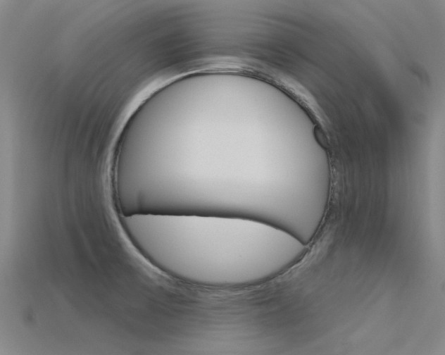 X0000115831475200911131117