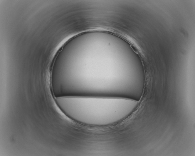 X0000115831476200911131117
