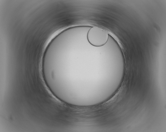 X0000115831477200911131117