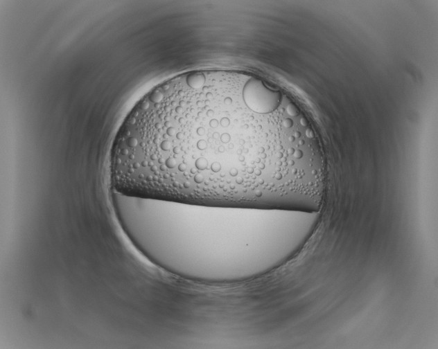 X0000115831479200911131117