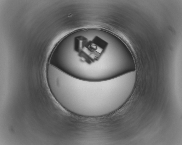 X0000115831480200911131117