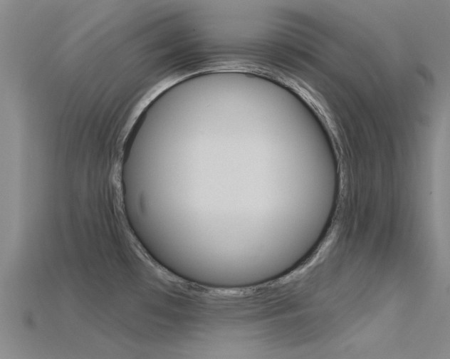 X0000115831481200911131117