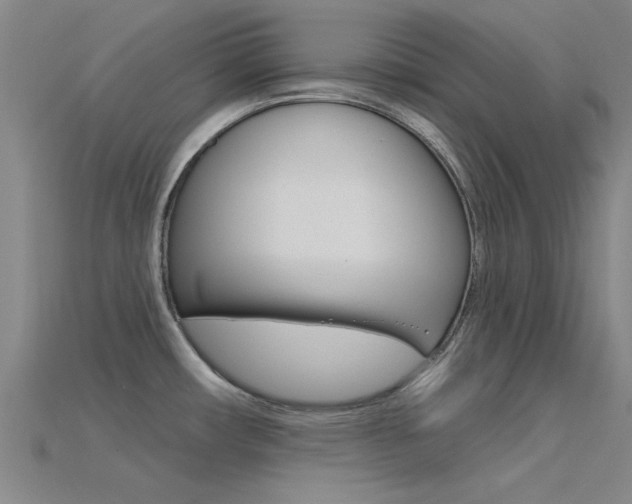 X0000115831482200911131117