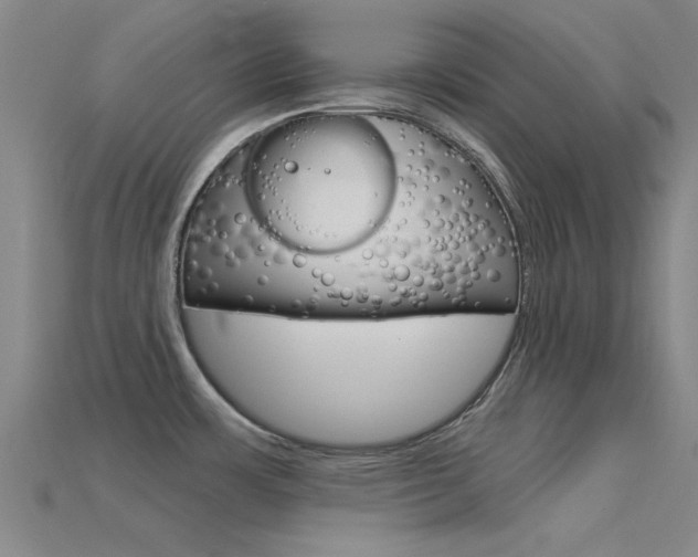 X0000115831483200911131117