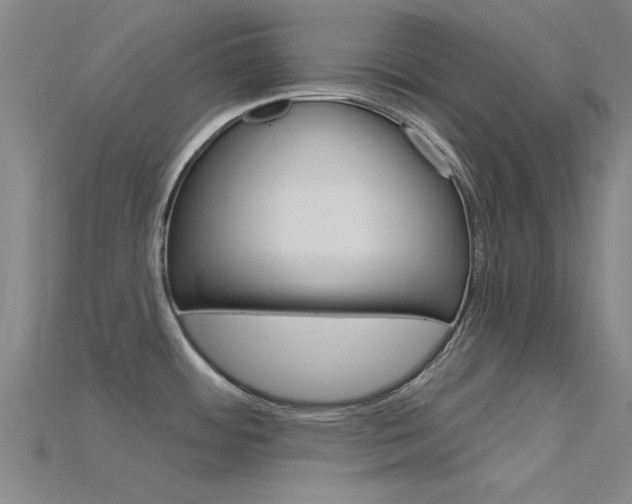 X0000115831484200911131117