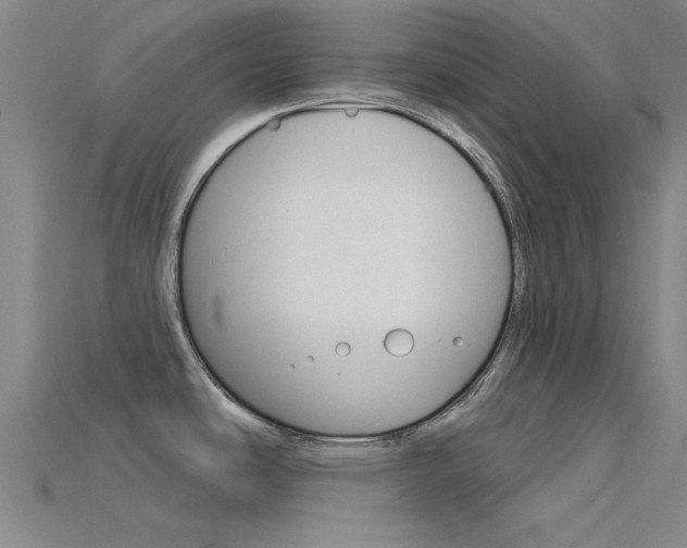 X0000115831486200911131117