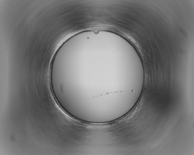 X0000115831487200911131117
