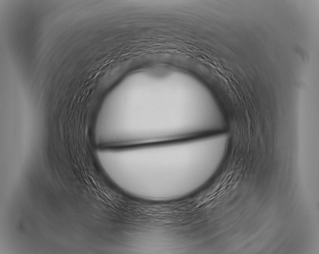 X0000115831489200911131116