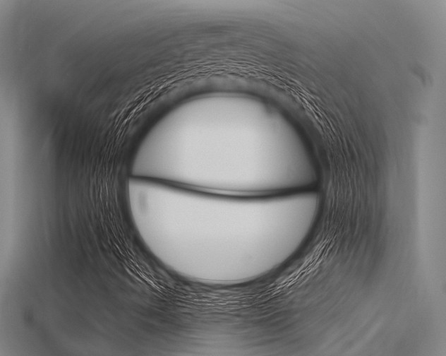 X0000115831490200911131116