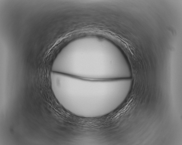 X0000115831494200911131116