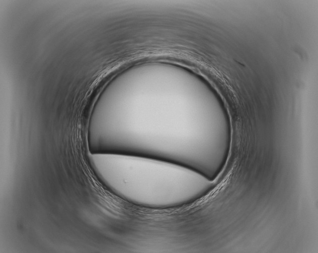 X0000115831497200911131116