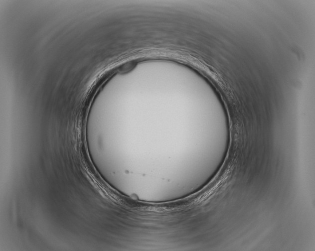 X0000115831499200911131116