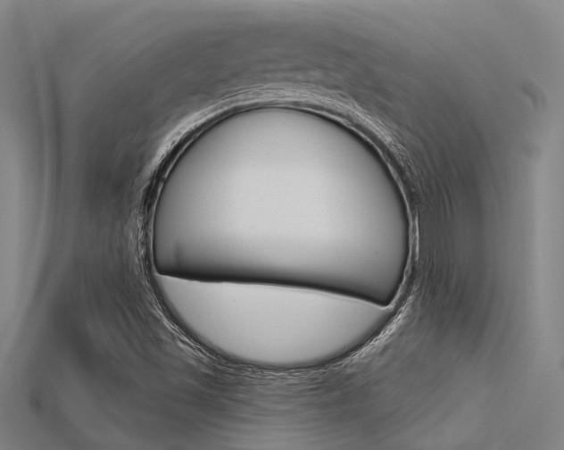 X0000115831501200911131116