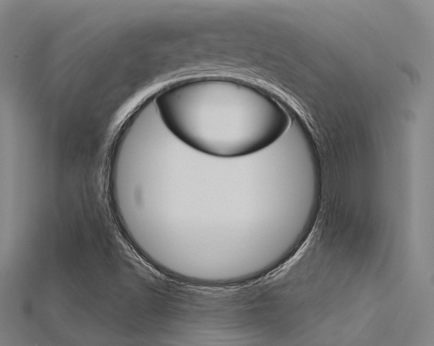 X0000115831502200911131116